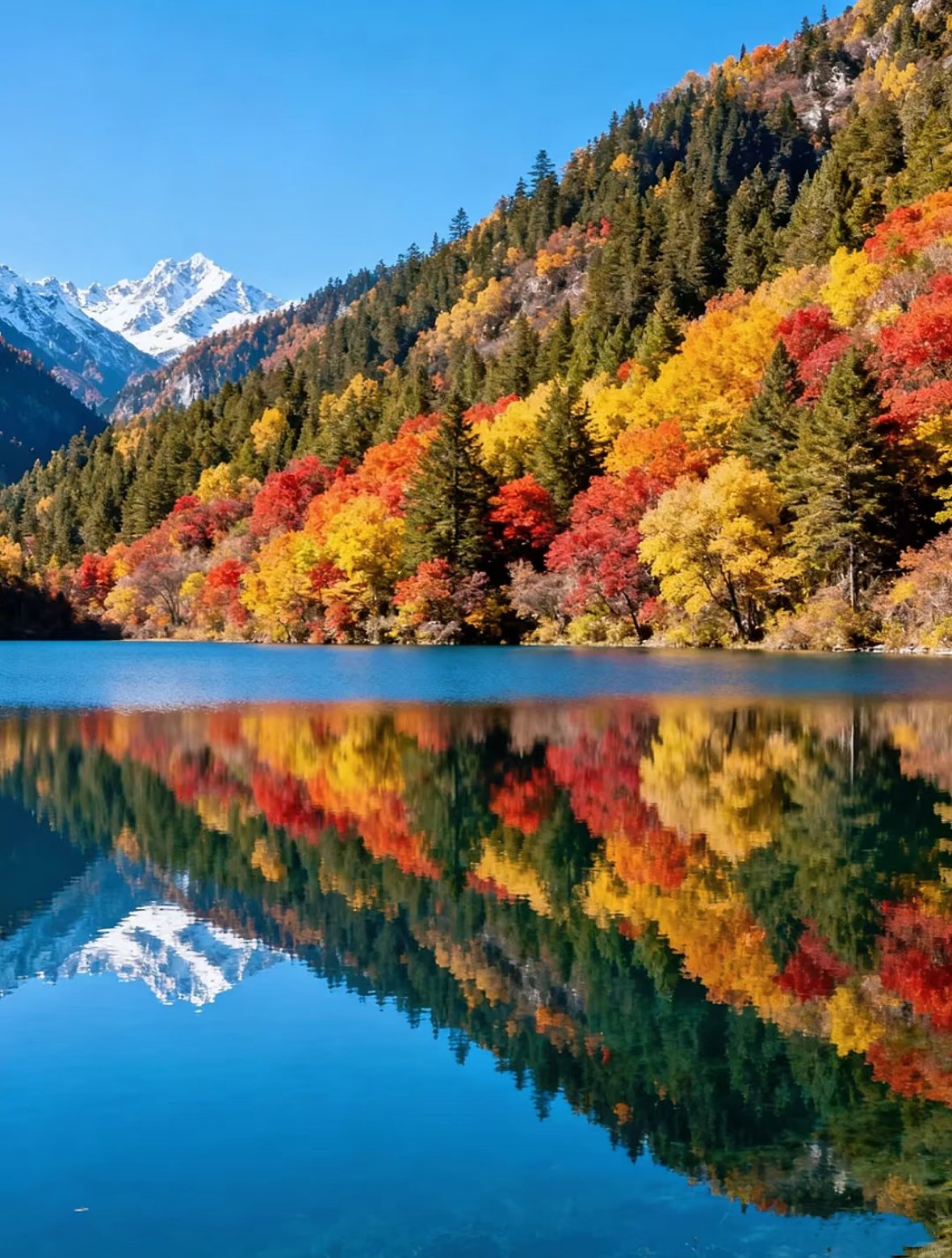 微信图片 20260307214216 1610 40