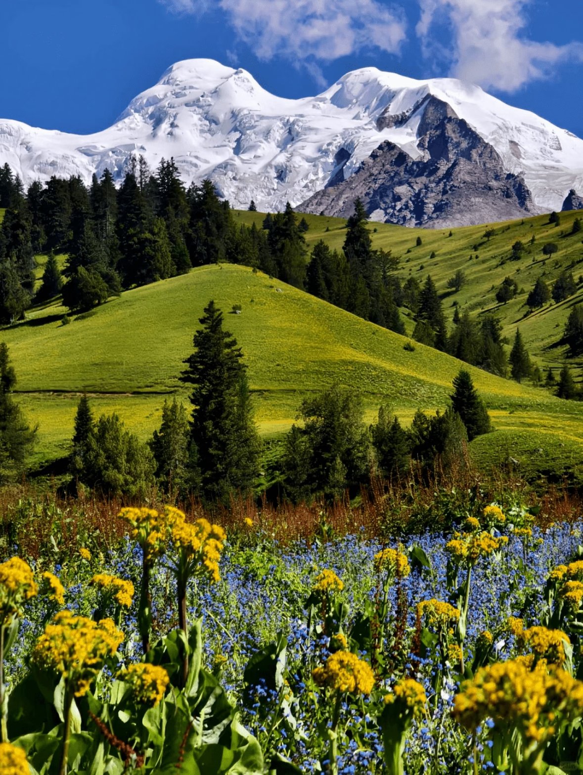 微信图片 20260312132630 1827 40